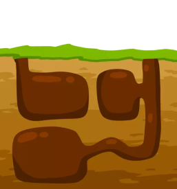 Zascitne mreze in pasti za glodalce velenje