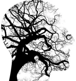 Zasebni psiholoski pregledi dolenjska