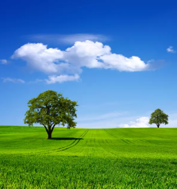 Zbiranje in odvoz nenevarnih odpadkov stajerska