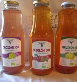 Zita v rinfuzi ljubljana osrednja slovenija