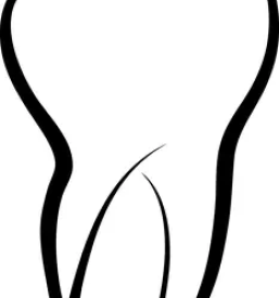 Zobozdravstvene storitve jvp dental maribor