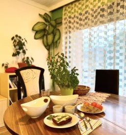 Affordable room rental sladki vrh