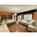 Branka Nikl Klampfer - Sobodajalka