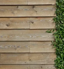 Affordable wooden eco houses