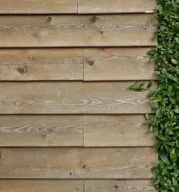 Affordable wooden eco houses