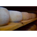 DAVID OSTAN - DOPOLNILNA DEJAVNOST NA KMETIJI