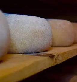 Albuminska skuta bovec