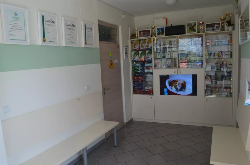 Zdravnik za male živali Murska Sobota