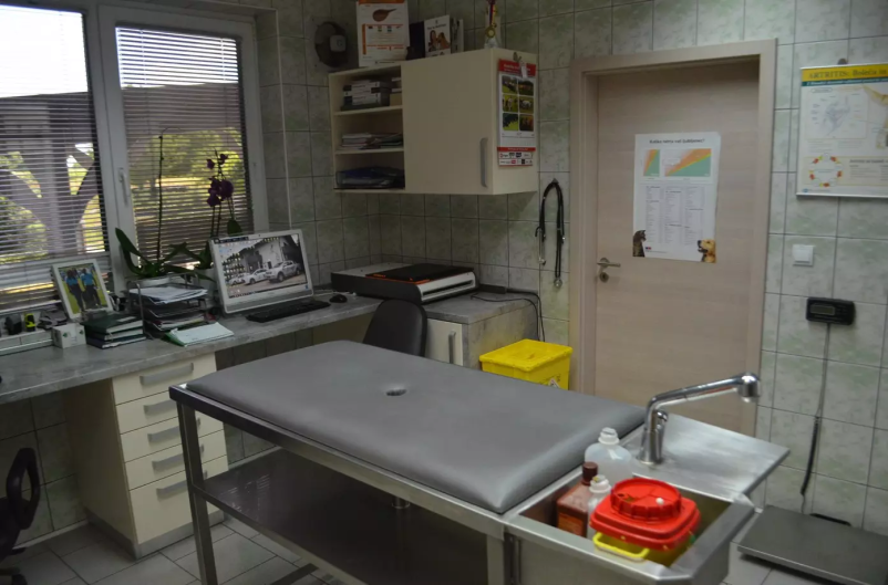 Veterinarska ambulanta za male živali Murska Sobota, Pomurje