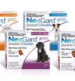 Veterinar za male živali Ljubljana, Slovenija