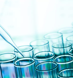 Analiziranje zivil v sloveniji