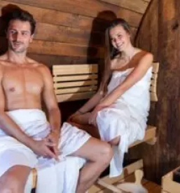 Apartma s savno goricko