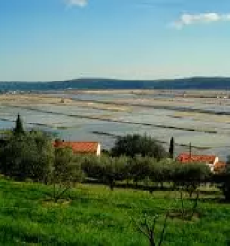 Apartmaji in sobe izola ter privat nastanitev izola