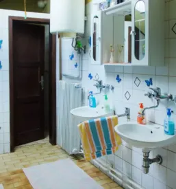 Apartmaji rajhenav