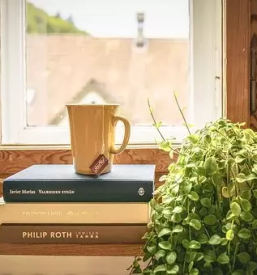 Apartmaji v blizini term olimia