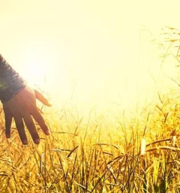 Apartmaji za oddih in sprostitev goricko