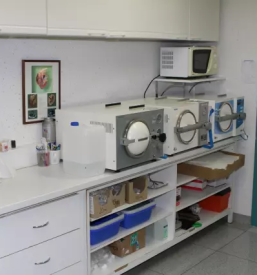 nevrokirurgija pri mačkah slovenija