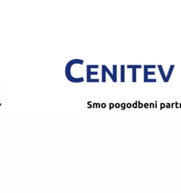 Avtomehanik crnomelj