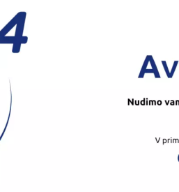 Avtomehanik crnomelj