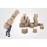 ANTON TOMAŽIČ S.P.