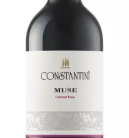 Degustacija vin Goriška Brda