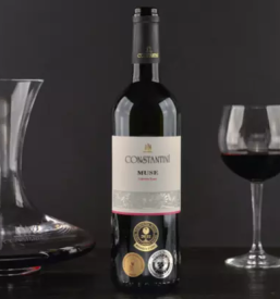 Degustacija vin Brda