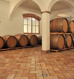 Buteljčna vina v Sloveniji