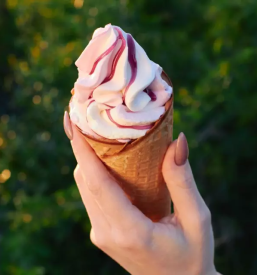 Baze in paste slovenija