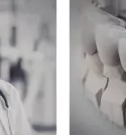 Beljenje zob Osrednja Slovenija