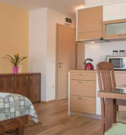 Billige wohnungen auf touristische bauernhof slowenien