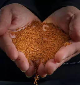 Bio moka