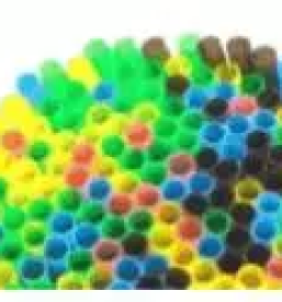 Bio slamice slovenija