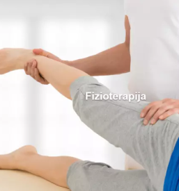 Bownova terapija notranjska