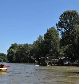 Brodarstvo na Muri, Beltinci
