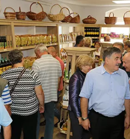 Kvalitetno bučno olje Slovenija