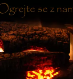 Bukova drva v sloveniji