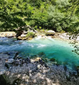 Camp ob reki koritnici soca