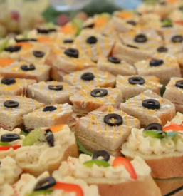 Raznolik catering Vrhnika