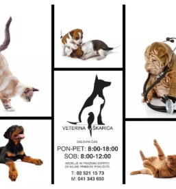 Kirurgija za male živali Murska Sobota