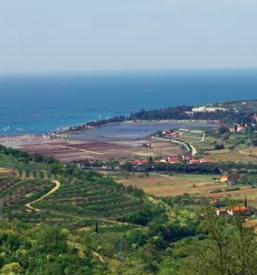 Cheap apartments slovenian coast