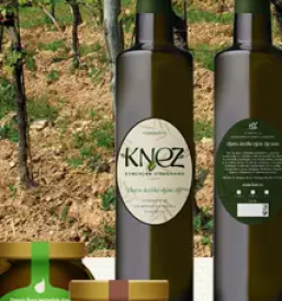 Cheap apartments slovenian coast