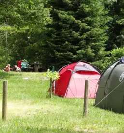 Camp