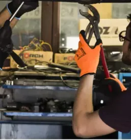 Chip tuning Pomurje