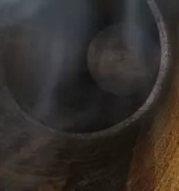 Čiščenje in razrez cistern na Gorenjskem, v okolici