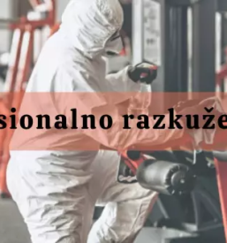 Ciscenje oken na visini primorska