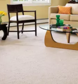 Poceni čistilni servis Obalno kraška