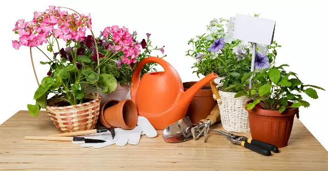 Cvetličarna in vrtnarija Gorenjska