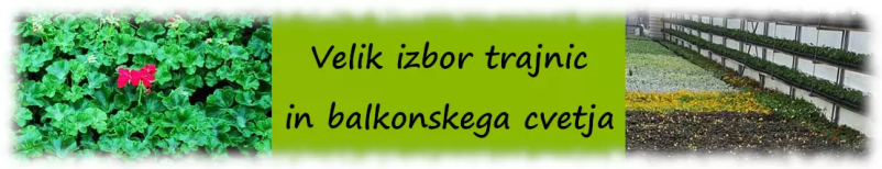 Dobra cvetličarna in vrtnarija Gorenjska