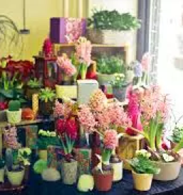 Cvetličarna in vrtnarija Ig Ljubljana - vabljeni