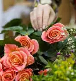 Cvetlicarna in vrtnarija ig ljubljana - široka ponudba